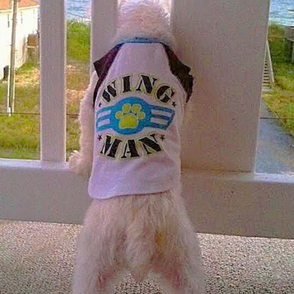 ❣️HP❣️ Doggie "Wing Man" T-shirt. Size: XS